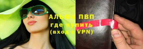 сатива Вяземский