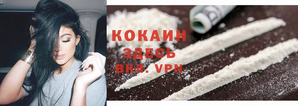 сатива Вяземский