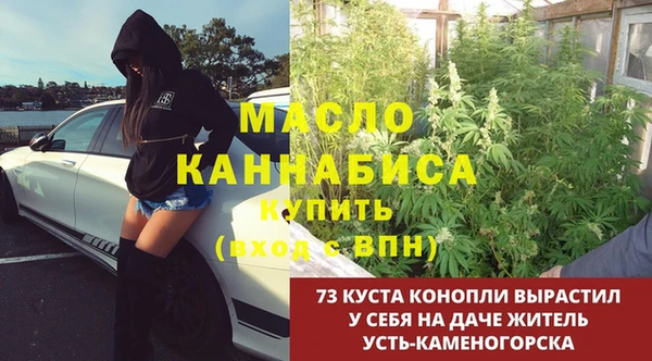 индика Горно-Алтайск