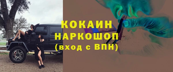 сатива Вяземский