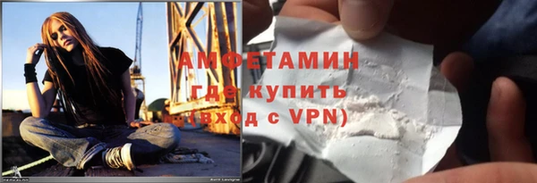 сатива Вяземский