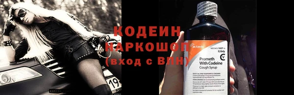 сатива Вяземский