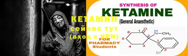 сатива Вяземский