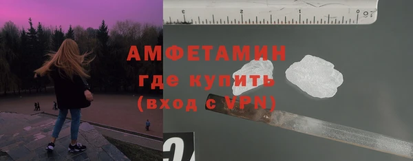 сатива Вяземский