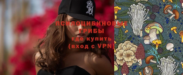 сатива Вяземский