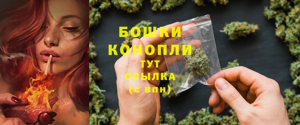 индика Горно-Алтайск