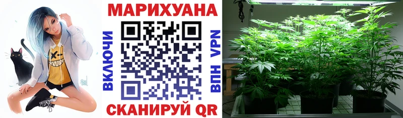 Купить закладки Бородино Бошки Шишки индика